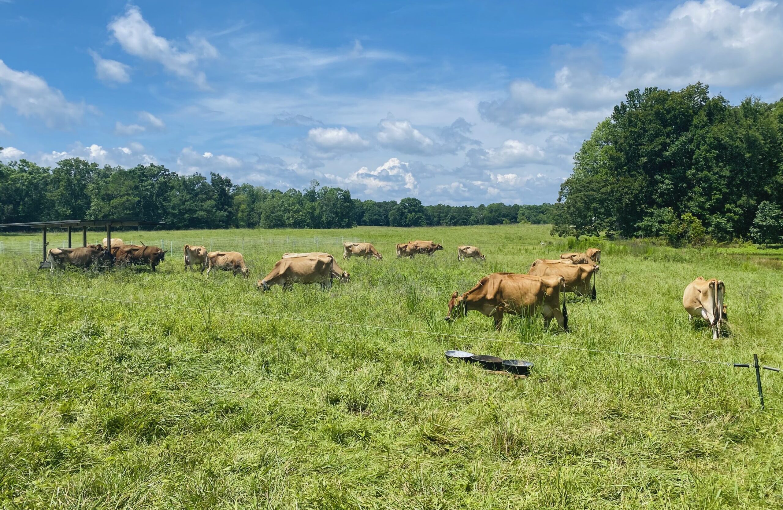 My Dad & Me Family Farm, LLC photo 19